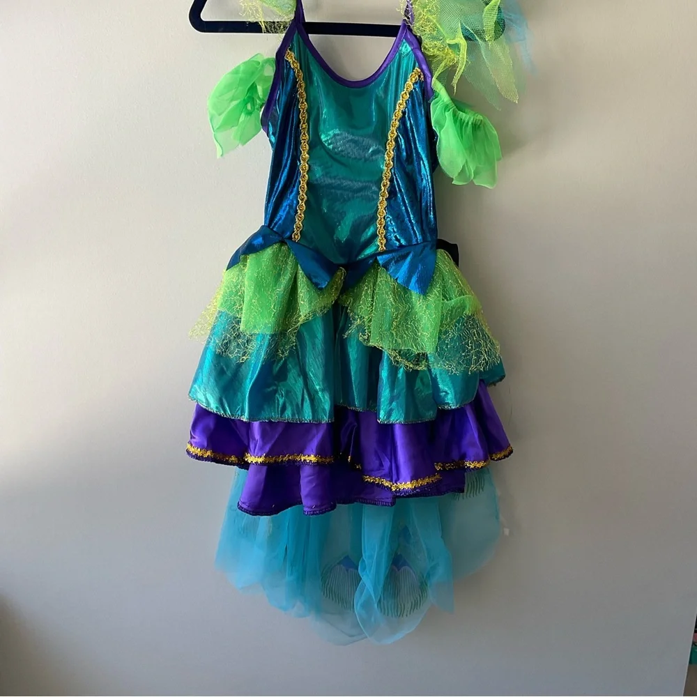 Peacock Costume